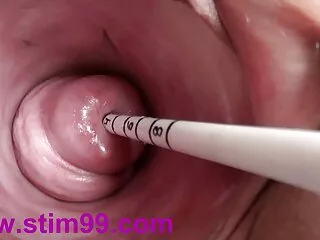 বুড়ো কচির, মেয়ে সমকামী