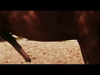 সুন্দরি সেক্সি মহিলার আন্ত জাতিগত